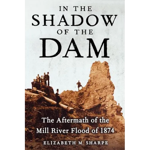 In the Shadow of the Dam: The Aftermath of the Mill River Flood of 1874 - Paperback