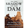 In the Shadow of the Dam: The Aftermath of the Mill River Flood of 1874 - Paperback