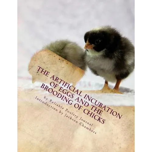 The Artificial Incubation of Eggs and the Brooding of Chicks - Paperback