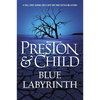 Blue Labyrinth - Hardcover