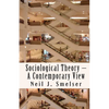Sociological Theory - A Contemporary View: How to Read, Criticize and Do Theory - Paperback