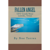 Fallen Angel: UFO Crash Near Laredo, Texas - Paperback