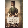 The New South - Paperback