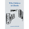 Why I Believe in Ghosts - Paperback