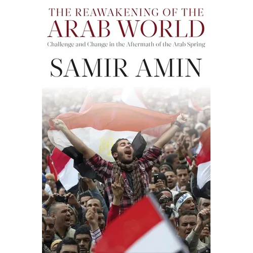 The Reawakening of the Arab World: Challenge and Change in the Aftermath of the Arab Spring - Paperback