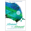 Moment to Moment: The Transformative Power of Everyday Life - Paperback
