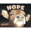 Hope - Paperback
