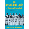 The Jews of Arab Lands: A History and Source Book - Paperback
