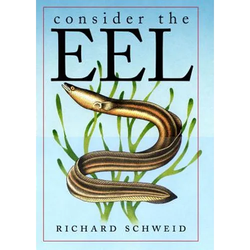 Consider the Eel - Paperback