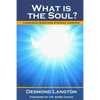 What Is The Soul?: Lingering Question, Eternal Answer - Paperback