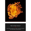 The Prose Works of Percy Bysshe Shelley: On the Devil, and Devils - Paperback
