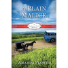 A Plain Malice - Paperback