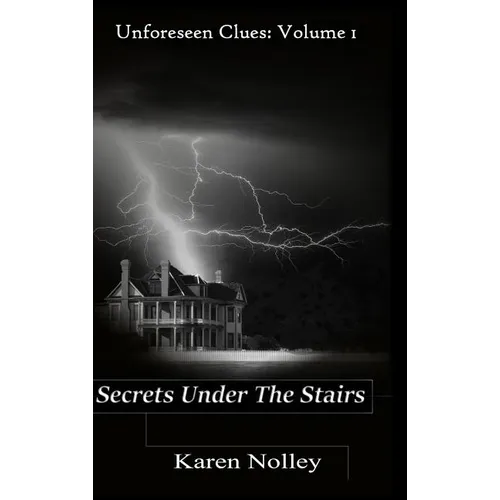 Secrets Under the Stairs - Hardcover