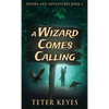 A Wizard Comes Calling - Hardcover