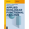 Applied Nonlinear Functional Analysis: An Introduction - Paperback
