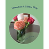Mama Gets A Call For Help: The Mama Series - Paperback
