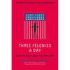 Three Felonies a Day: How the Feds Target the Innocent - Paperback