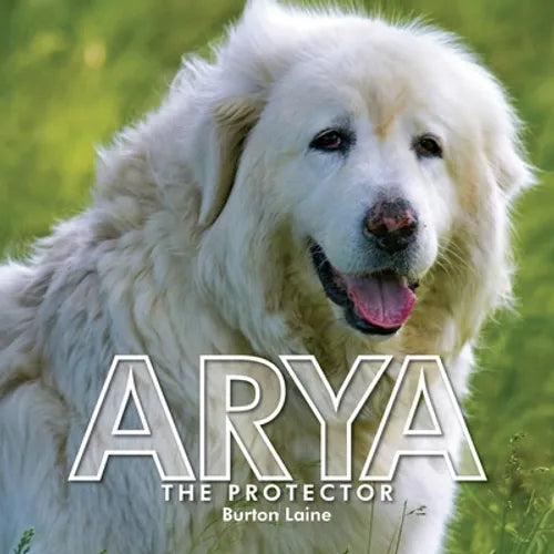 Arya - Paperback