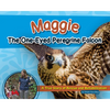 Maggie the One-Eyed Peregrine Falcon: A True Story of Rescue and Rehabilitation - Hardcover