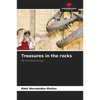 Treasures in the rocks - Paperback