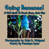 Going Bananas! A Kid's Guide to Puerto Limon, Costa Rica - Paperback