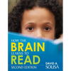 How the Brain Learns to Read - Paperback