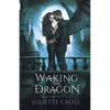 Waking the Dragon - Paperback