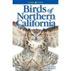 Birds of Northern California - Paperback