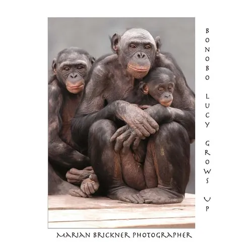 Bonobo Lucy Grows Up - Paperback