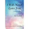 I Will Never Leave You: a soul mate's promise - Paperback