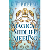 Magical Midlife Meeting - Paperback