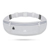 "Outdoor Sports Waist Pack, Large Capacity Waterproof Mobile Phone Pouch, Unisex Running Fitness Elastic Waist Bag"