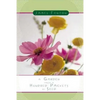 A Garden from a Hundred Packets of Seed - Paperback
