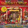 Can You See What I See?: Curiosity Shop (from the Creator of I Spy) - Hardcover