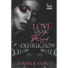 Love On The Road To Destruction - Paperback