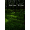 Saint Mary The Virgin - Paperback