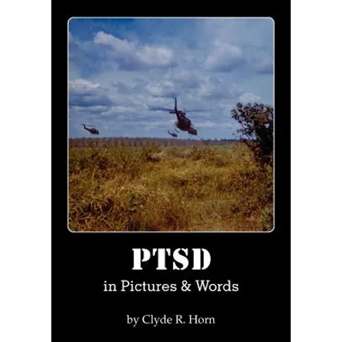 PTSD in Pictures & Words - Paperback