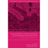 The European Court of Justice and External Relations Law: Constitutional Challenges - Paperback