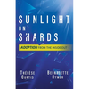 Sunlight on Shards: Adoption From the Inside Out - Paperback