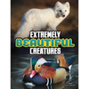 Extremely Beautiful Creatures - Paperback