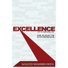 Excellence at a Minimum: The Plight of an Entreprenuer - Paperback