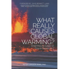 What Really Causes Global Warming?: Greenhouse Gases or Ozone Depletion? - Paperback