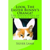 Look, The Easter Bunny's Orange: The Adventures of Mr. Scruffy Pants - Paperback