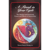 A Break in Your Cycle: The Medical and Emotional Causes and Effects of Amenorrhea - Hardcover