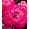 Ida Applebroog: Mercy Hospital - Hardcover