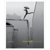 Rodney Smith: A Leap of Faith - Hardcover