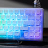 XVX IMD Spider Web Shine-Through OEM Profile 118-Key Keycap Set