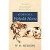 Story of a Piebald Horse - Paperback
