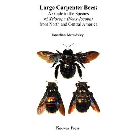 Large Carpenter Bees: A Guide to Species of Xylocopa (Neoxylocopa) from North and Central America - Paperback