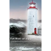 For Want of A Lighthouse: Guiding Ships Through the Graveyard of Lake Ontario 1828-1914 - Hardcover